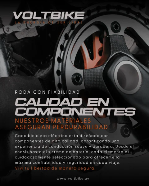Pieza de comunicación VoltBike 16
